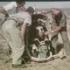 Illustration for article titled The Air Force Used to Test Supersonic Ejector Seats with Drugged-Up Bears